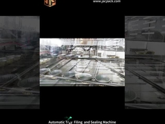 Saco rotativo automático de enchimento de lanches máquina de embalagem de alimentos para animais de estimação máquina de vegetais secos desidratados