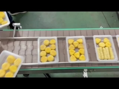 Máquina automática de vedação de bandejas 4R com descarga de gás a vácuo