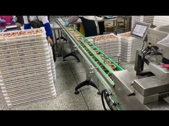 Máquina de vedação automática de enchimento de bandeja de alimentos de aço inoxidável para bandeja de papel de alumínio de fast food